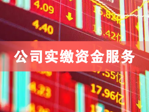 铜川公司实缴资金服务